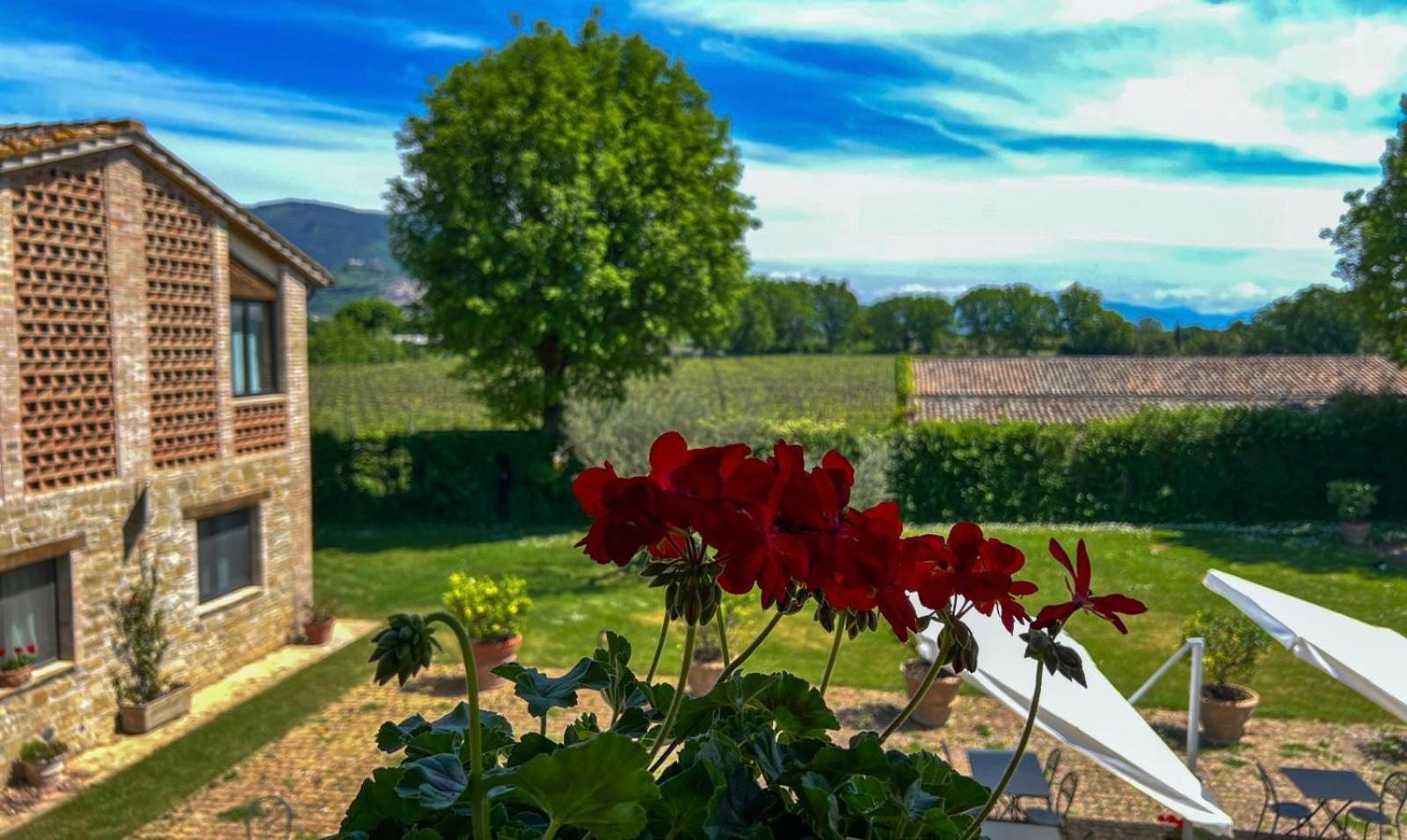 Agriturismo Podere La Fornace * Assisi