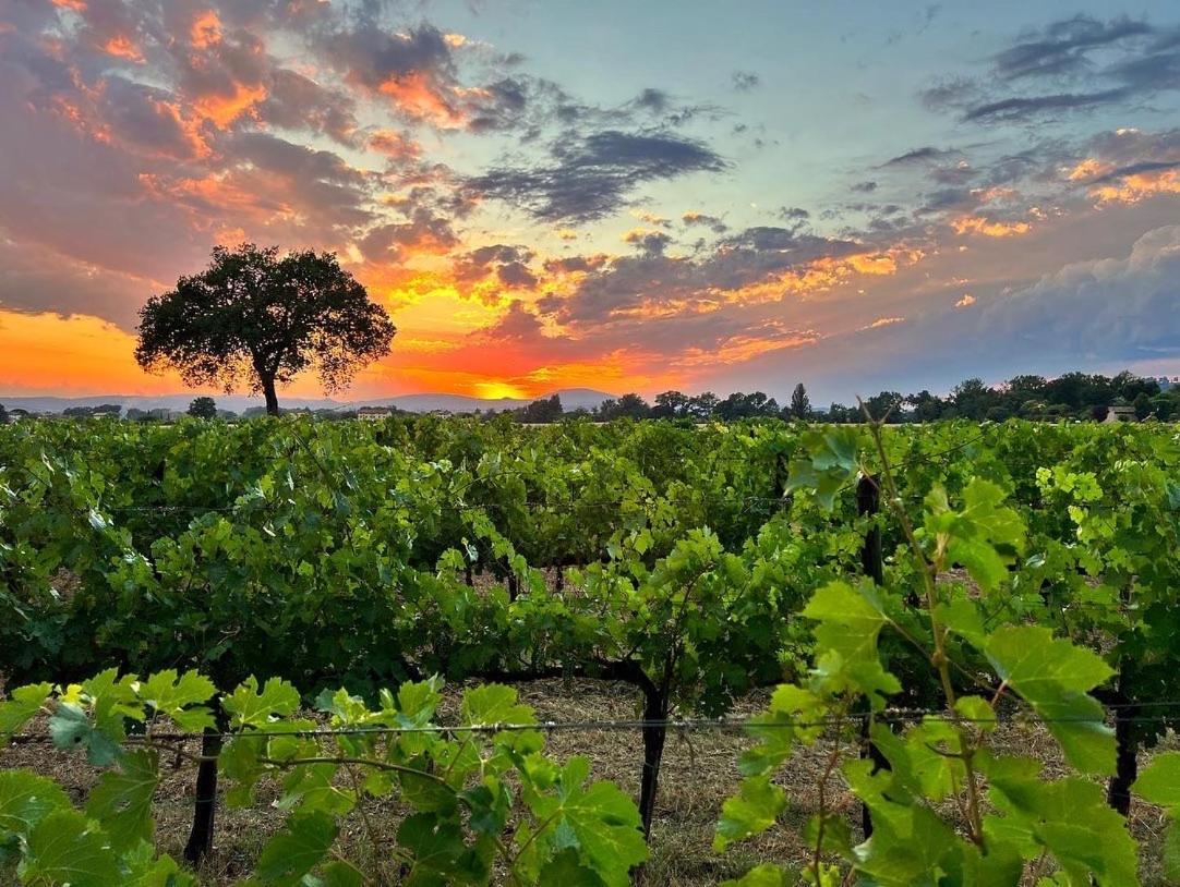 Agriturismo Podere La Fornace * Assisi