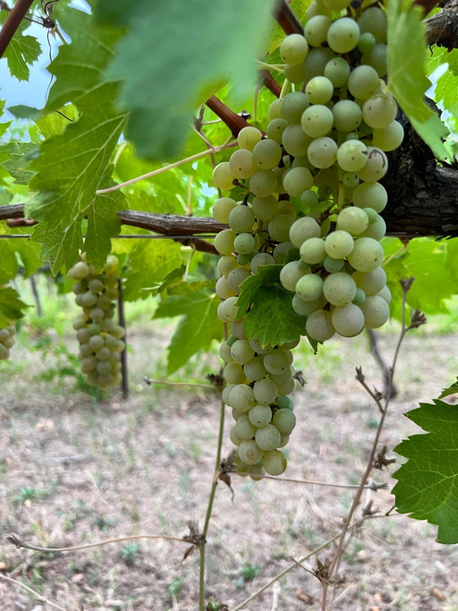 Landhaus Podere La Fornace